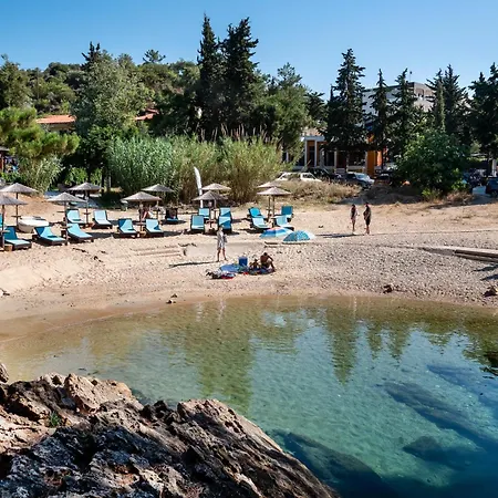 Hotel Rodon House 3*